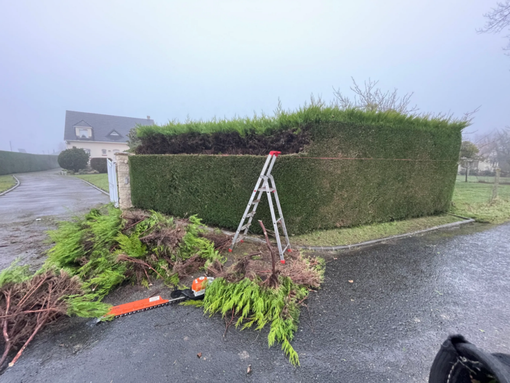 Taille d'une haie par un paysagiste CONFORT O JARDIN