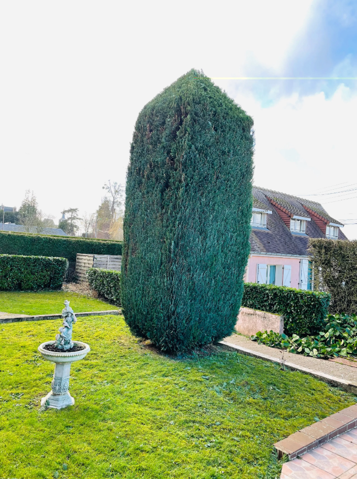Clôture