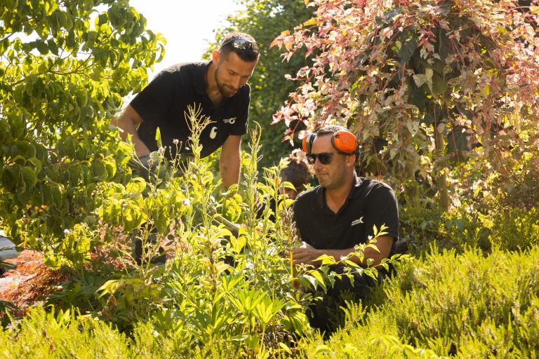 Deux paysagistes CONFORT O JARDIN entretiennent un massif d’arbustes et de vivaces