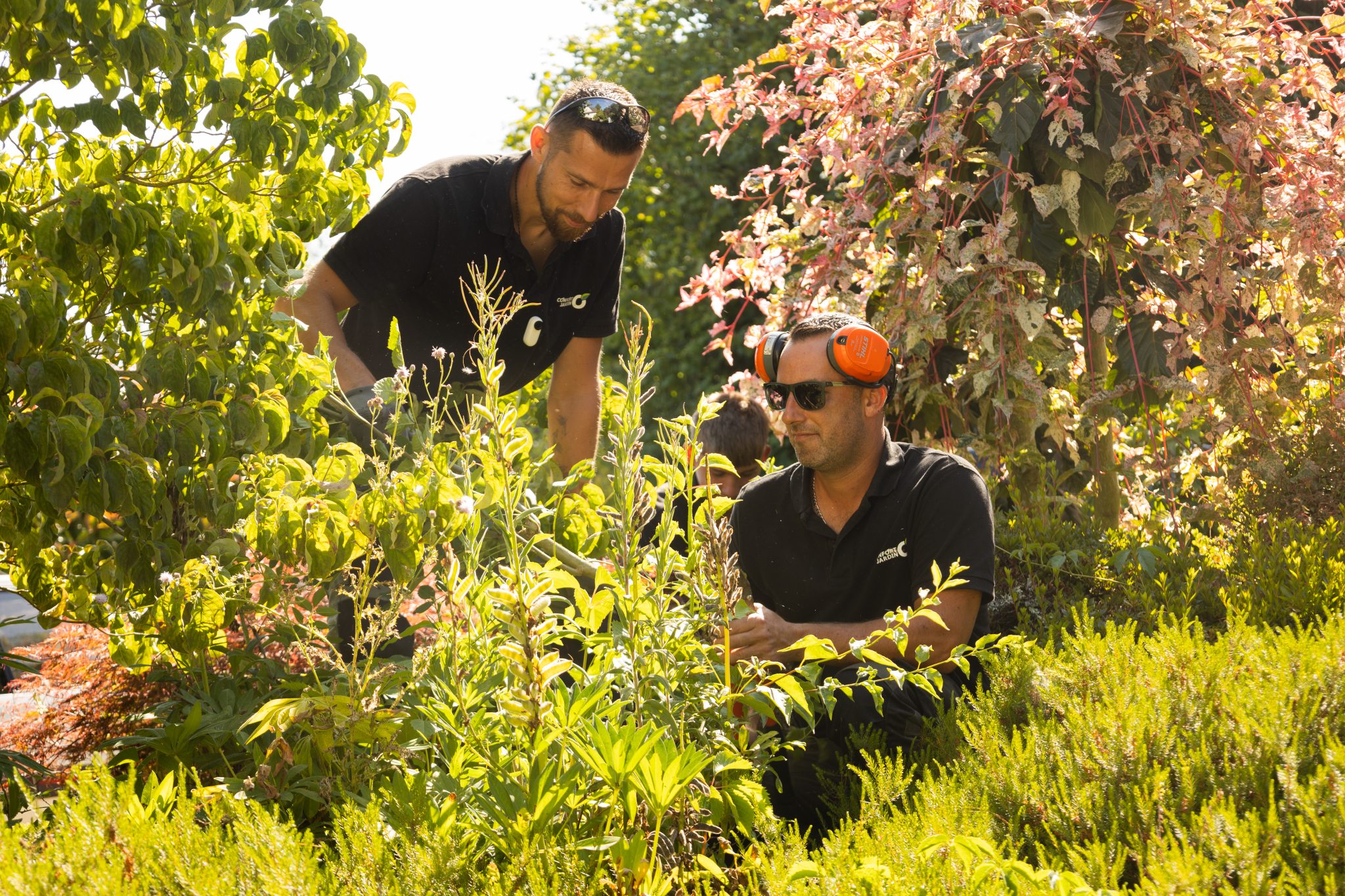 Deux paysagistes CONFORT O JARDIN entretiennent un massif d’arbustes et de vivaces