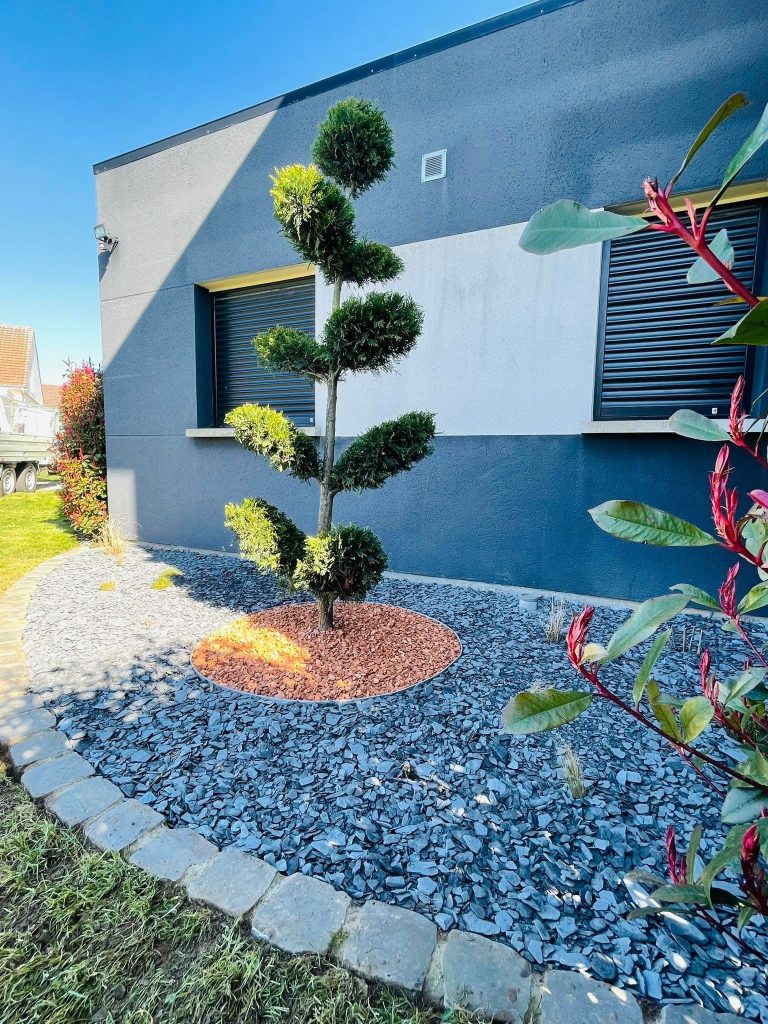 Massif d’ardoise bordé de pavés et arbuste taillé en nuage devant une façade contemporaine