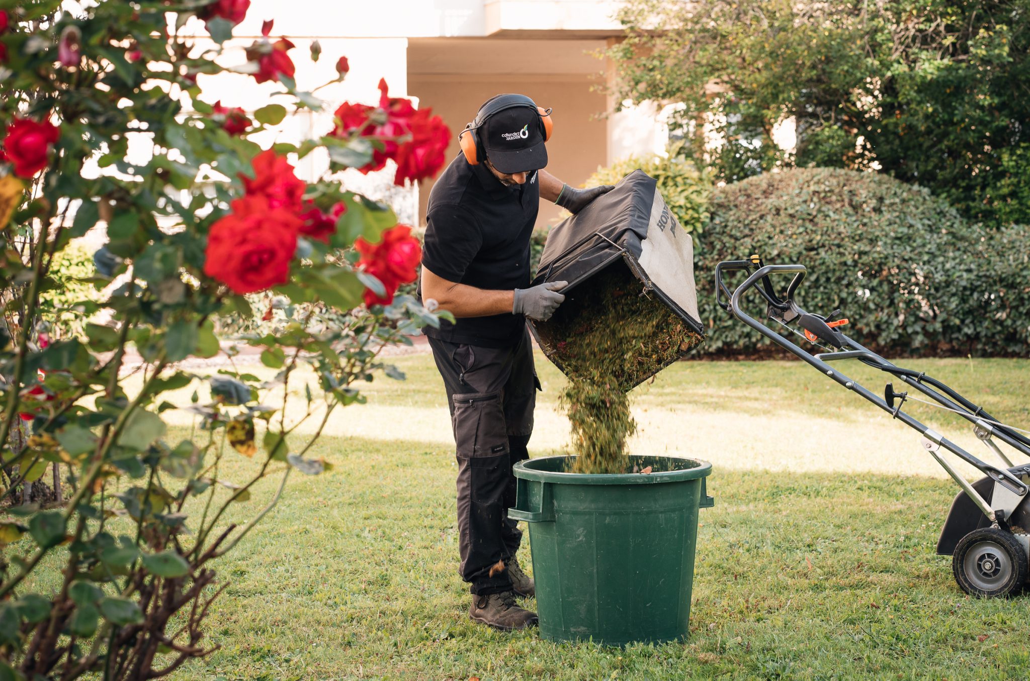 Vidage du bac de tonte dans un bac à déchets verts, devant un massif de rosiers