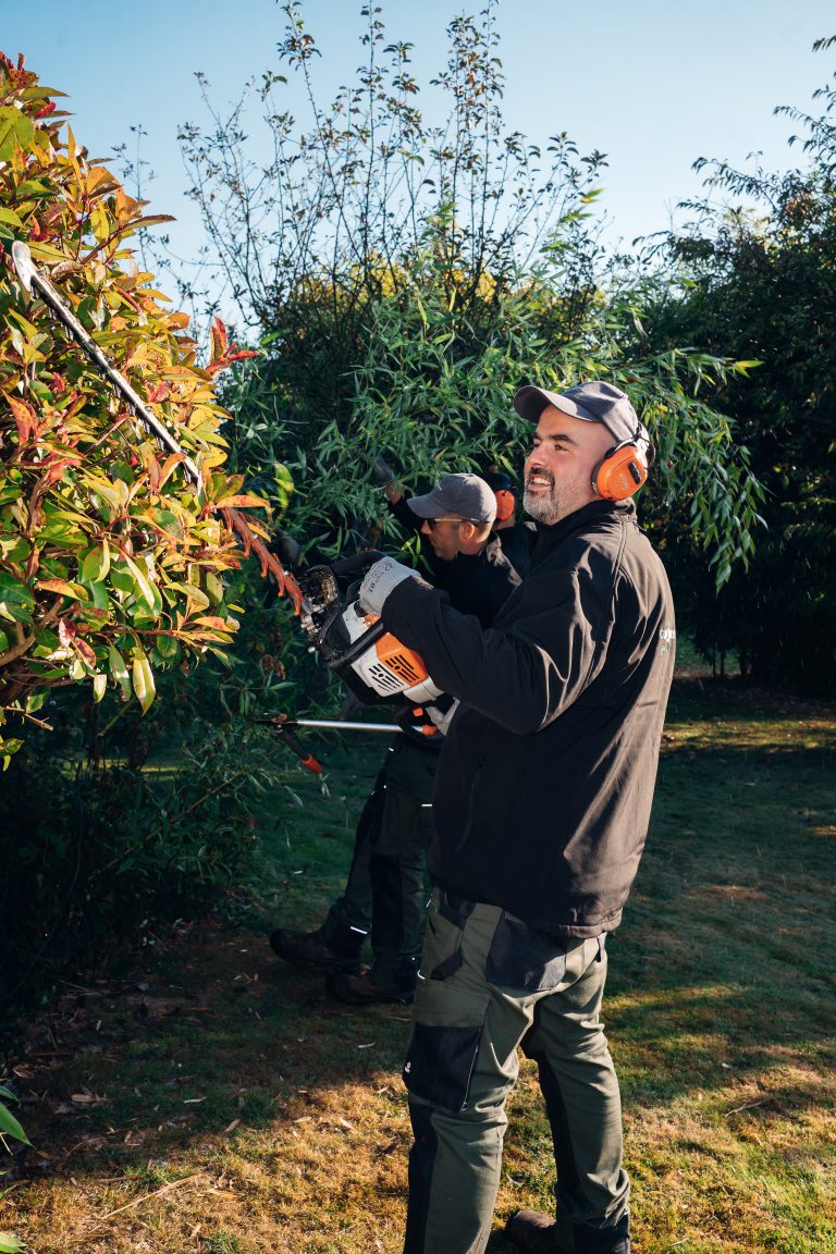 Renaud taille un massif de photinias au taille-haie thermique, un collègue en arrière-plan
