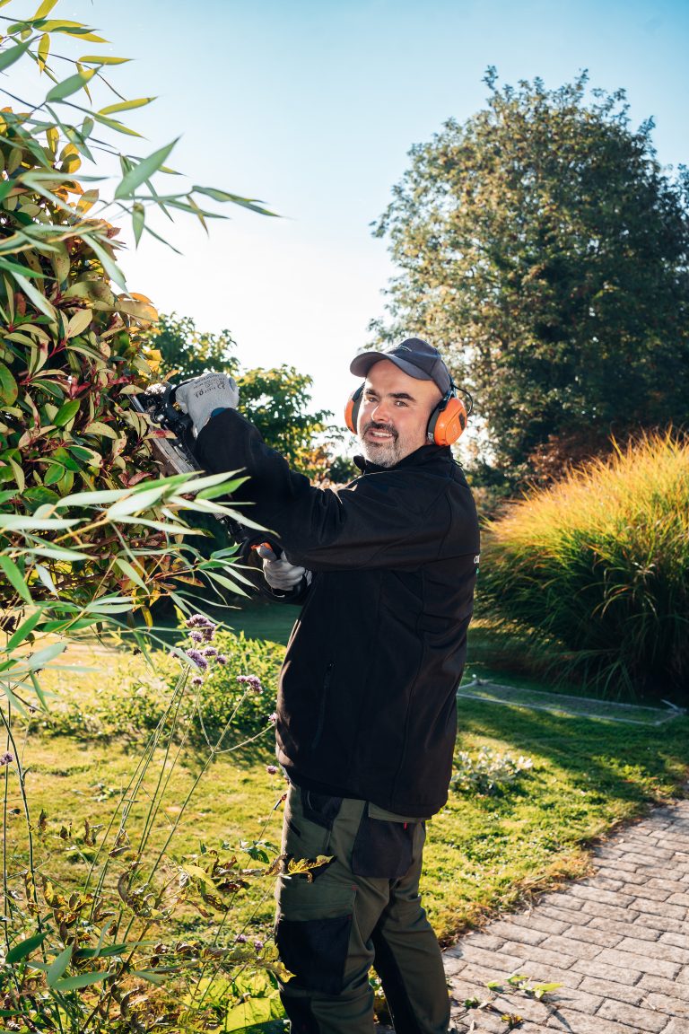 Renaud taille un massif arbustif au taille-haie thermique dans un jardin paysager