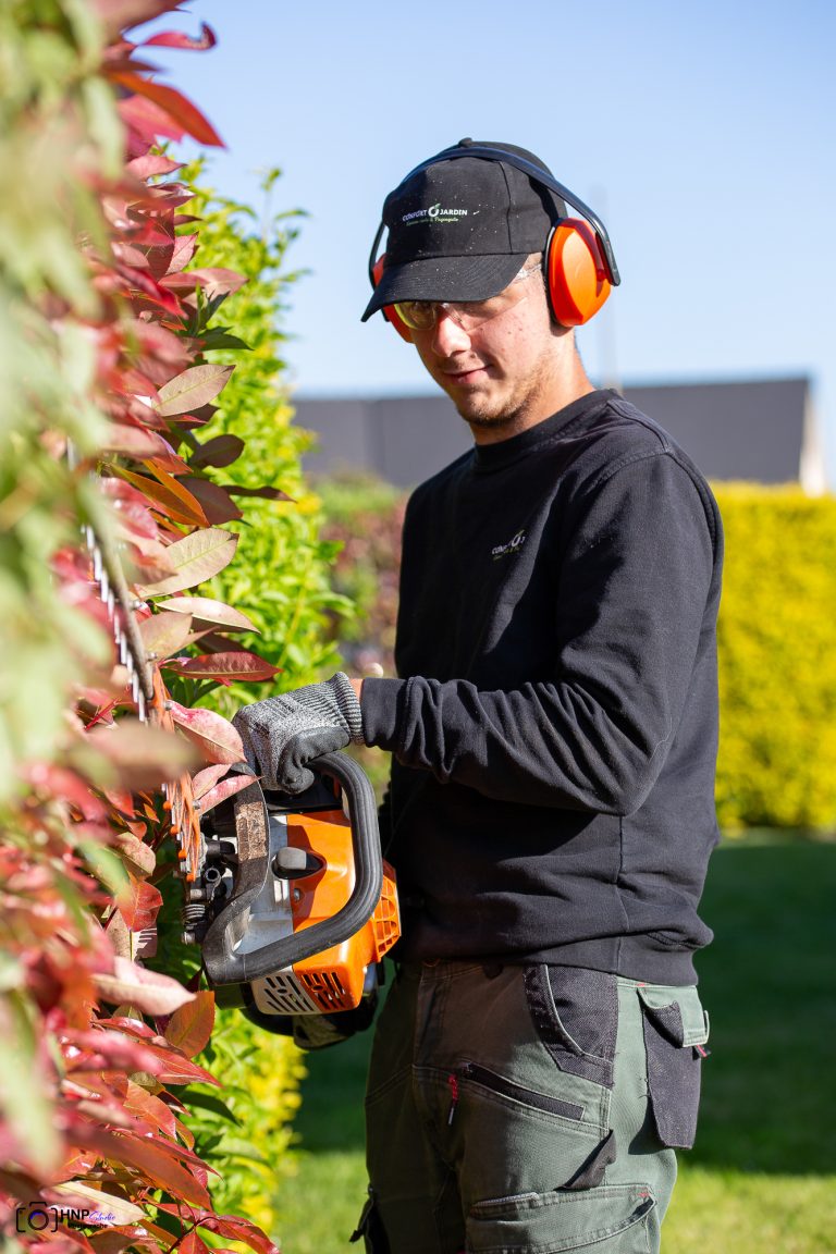 Noel taille une haie de photinias rouges au taille-haie thermique, casque antibruit sur les oreilles