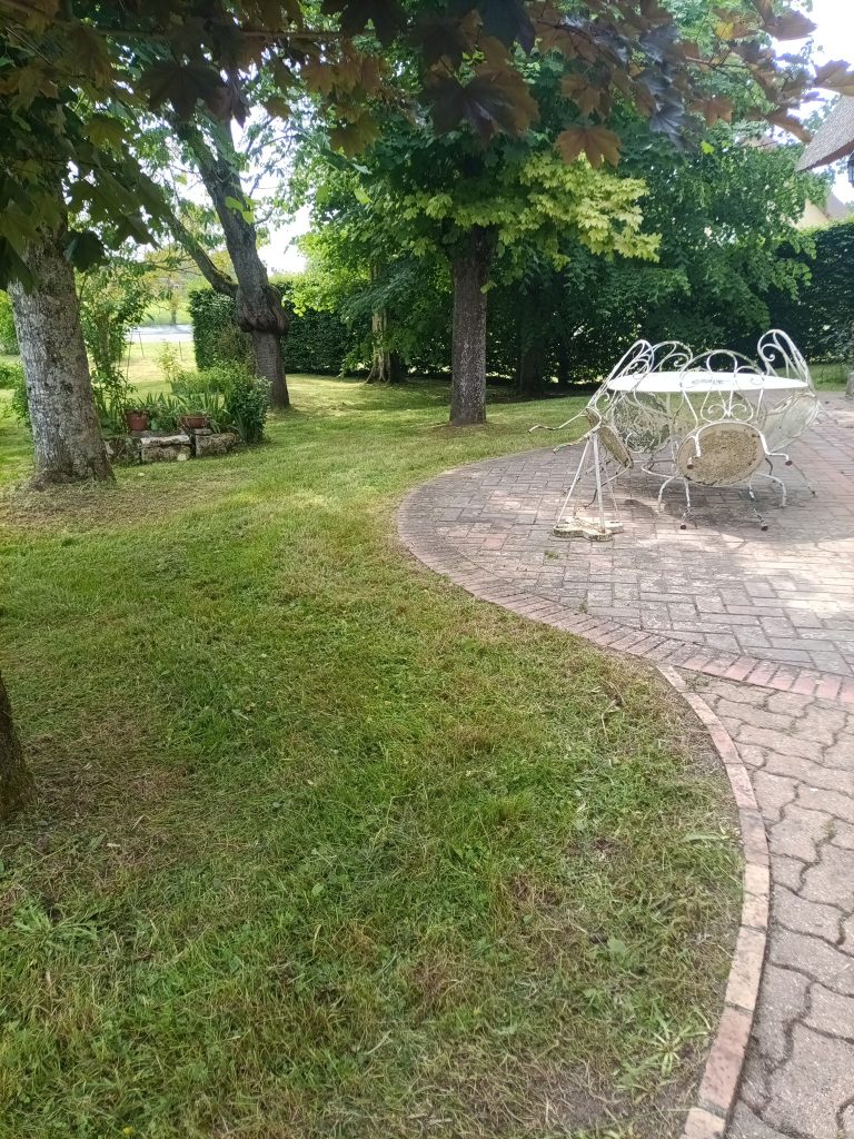 Pelouse tondue et bordure nette autour d'une terrasse pavée sous les arbres
