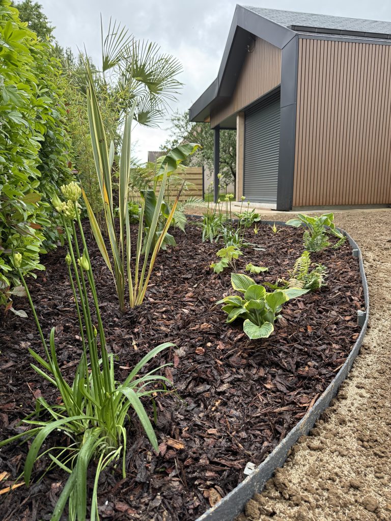 Massif courbe paillé d’écorces avec palmier, hostas et graminées, bordure acier, créé par CONFORT O JARDIN